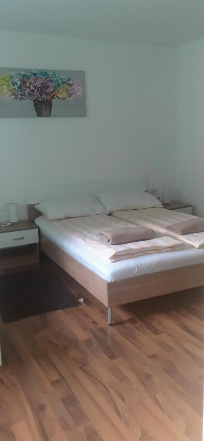 Apartman Sara vl. Franjo Klasić Apartment Krapina Bagian luar foto