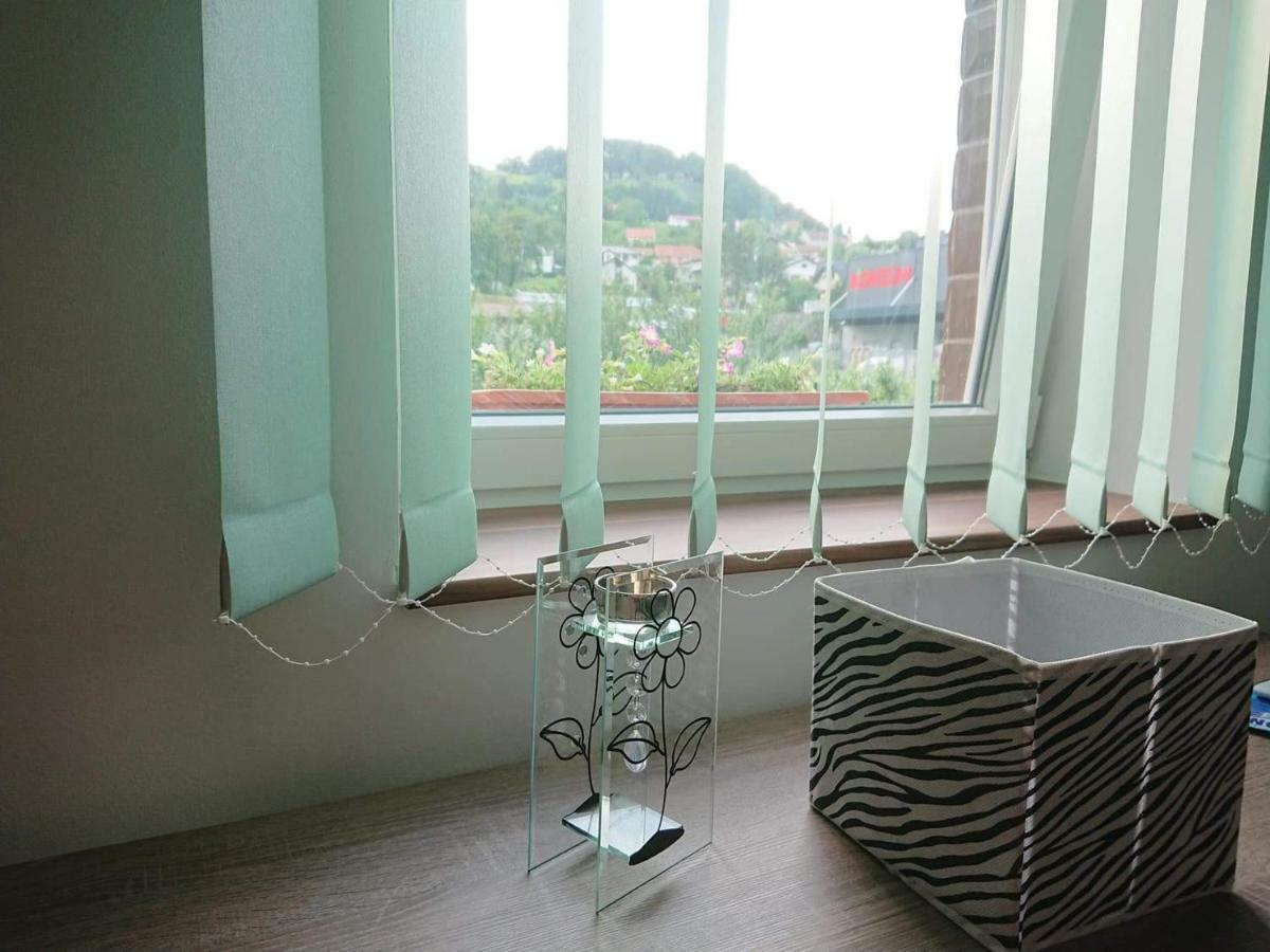 Apartman Sara vl. Franjo Klasić Apartment Krapina Bagian luar foto